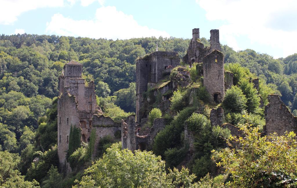 Gite De La Genevriere Saint-Chamant 외부 사진